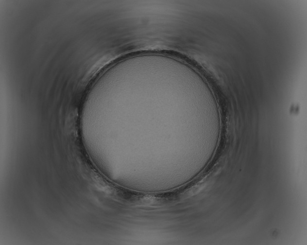X0000092221265200710051151