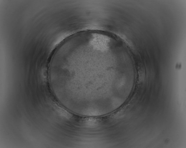 X0000092221266200710051151