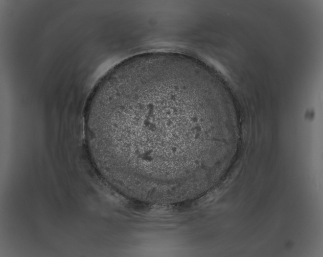 X0000092221267200710051151