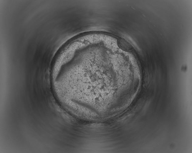 X0000092221268200710051151