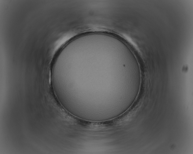 X0000092221269200710051151