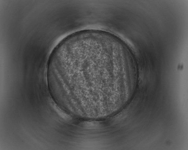 X0000092221272200710051151