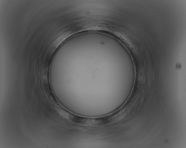 X0000092221273200710051151