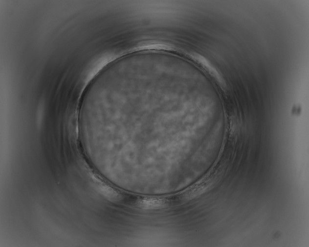 X0000092221274200710051151