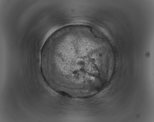 X0000092221275200710051151