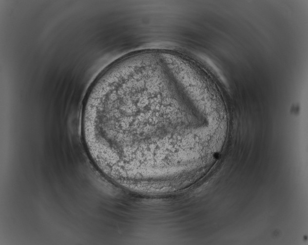 X0000092221276200710051151
