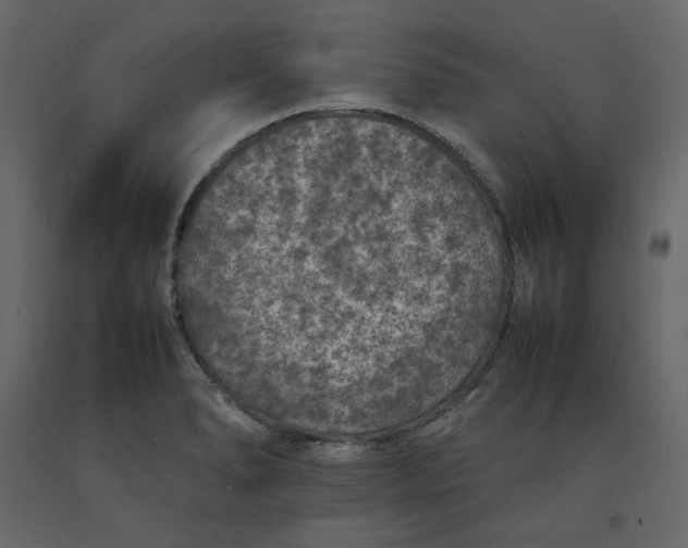 X0000092221278200710051151