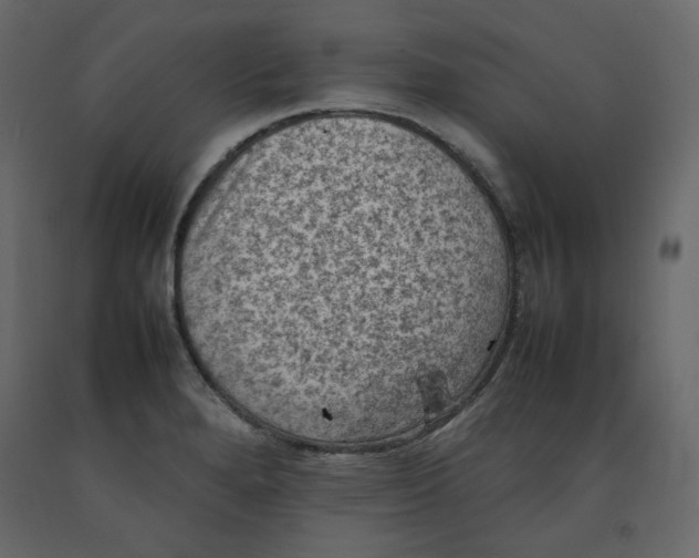 X0000092221280200710051151