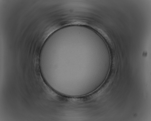 X0000092221281200710051151