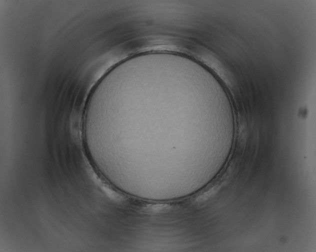 X0000092221282200710051150