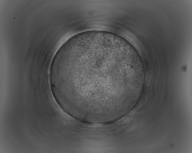 X0000092221283200710051150