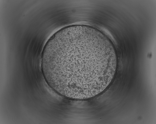 X0000092221284200710051150