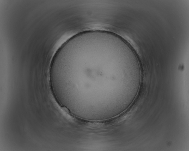 X0000092221285200710051150