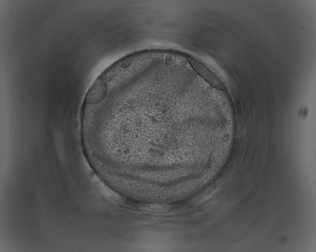 X0000092221287200710051150