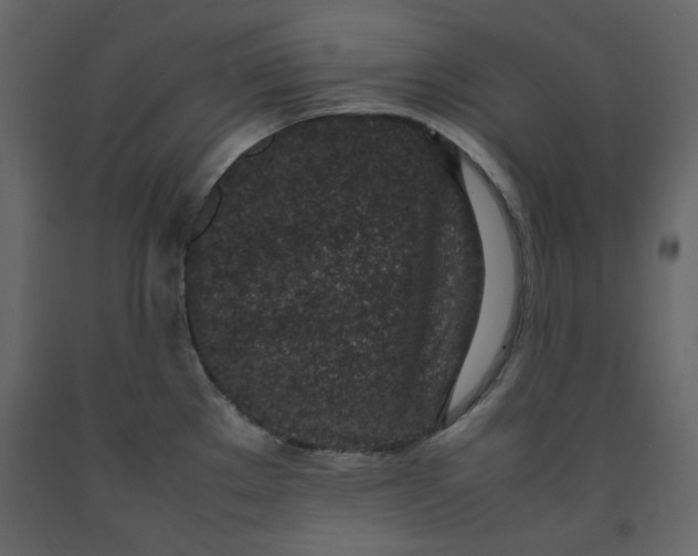 X0000092221289200710051150