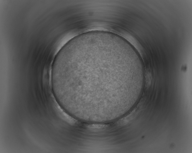 X0000092221290200710051150