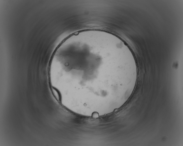 X0000092221291200710051150