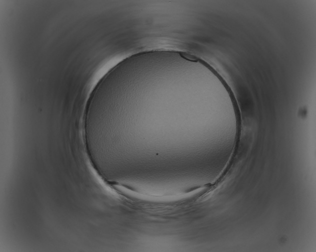 X0000092221293200710051150
