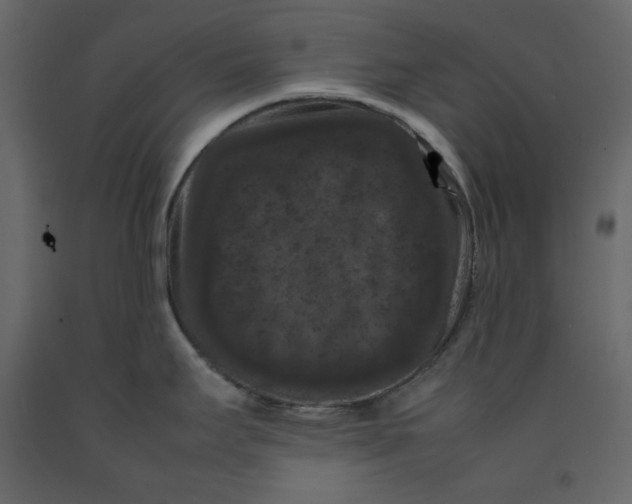 X0000092221295200710051150