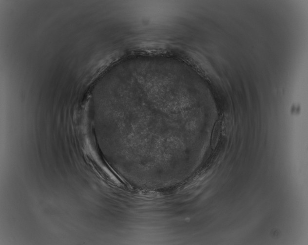 X0000092221298200710051150
