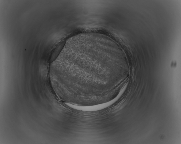 X0000092221300200710051150
