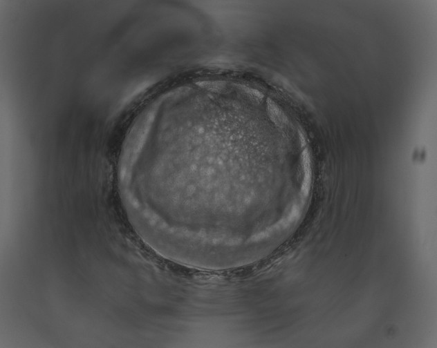 X0000092221302200710051150