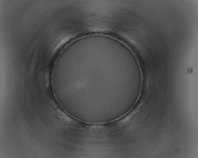 X0000092221306200710051150