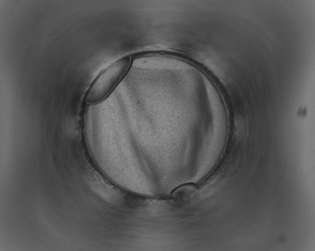 X0000092221308200710051150