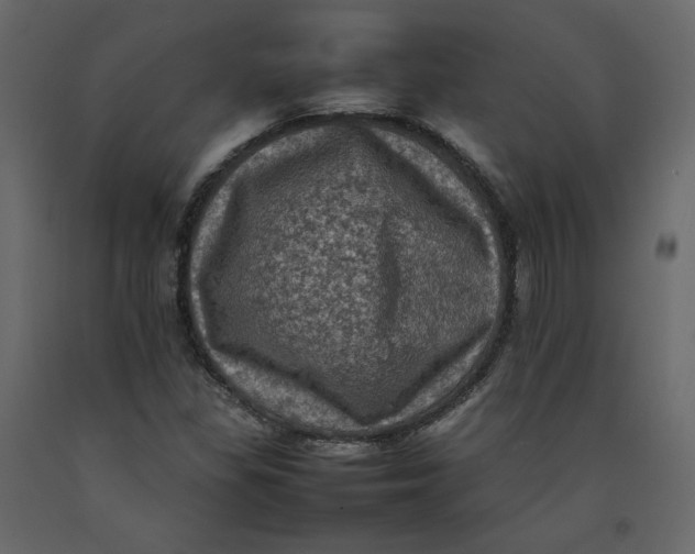 X0000092221309200710051150
