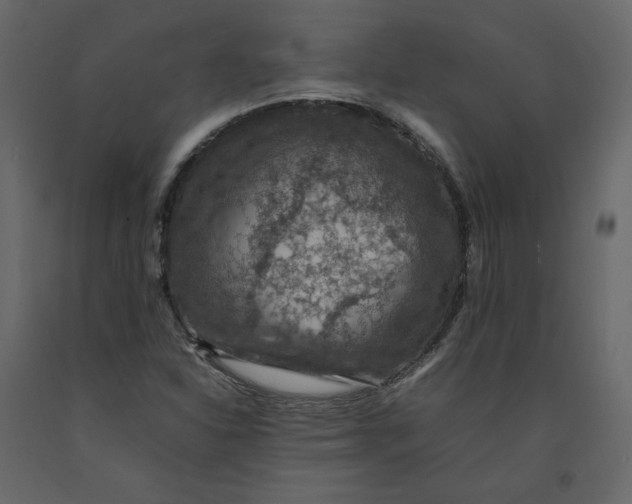 X0000092221310200710051150