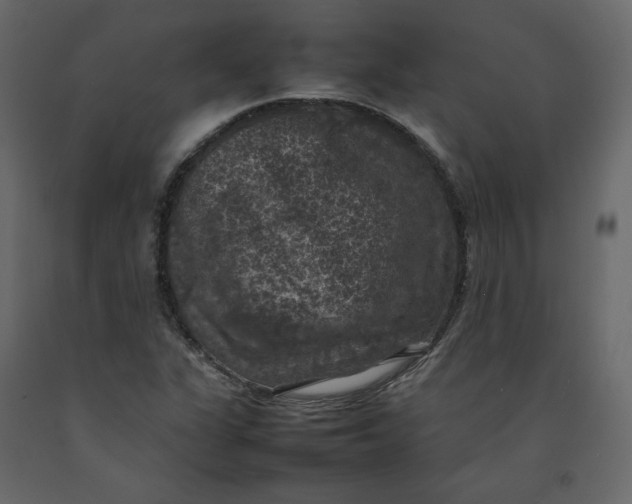 X0000092221311200710051150