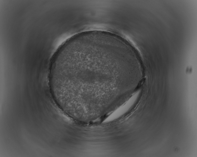 X0000092221312200710051150