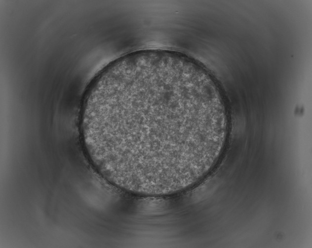 X0000092221314200710051150