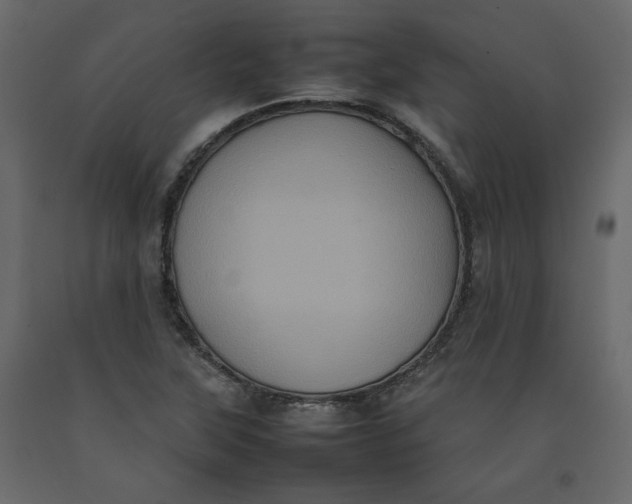X0000092221315200710051150