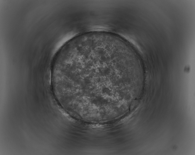 X0000092221317200710051150