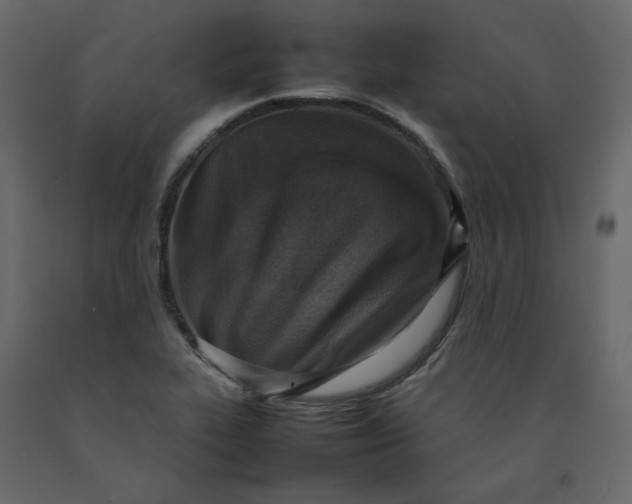 X0000092221319200710051150