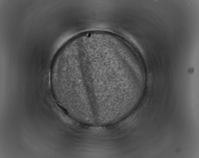 X0000092221320200710051150