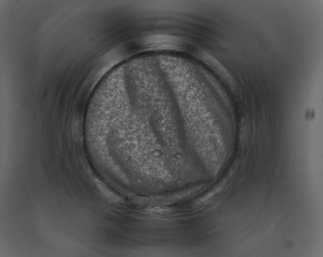 X0000092221321200710051150