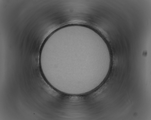 X0000092221322200710051150