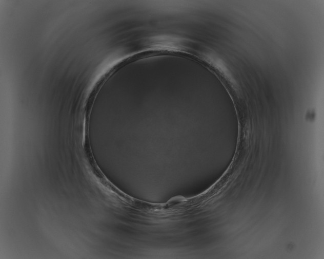 X0000092221323200710051150