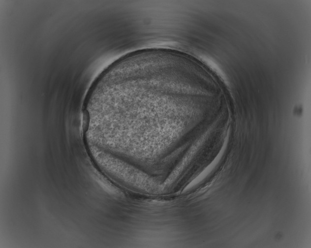 X0000092221324200710051150