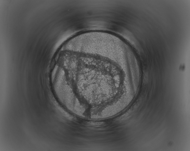 X0000092221325200710051150