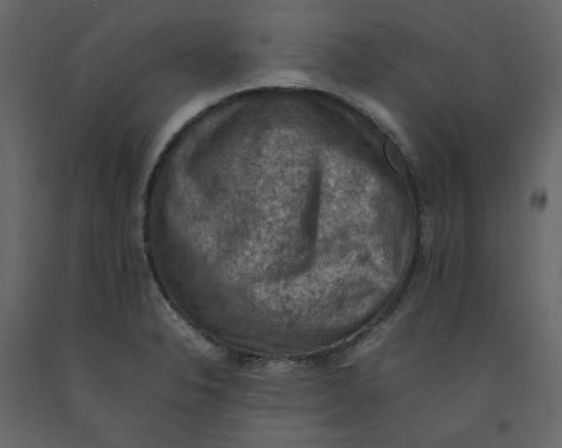 X0000092221326200710051150