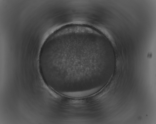 X0000092221327200710051150