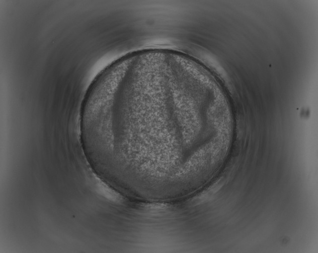 X0000092221328200710051150