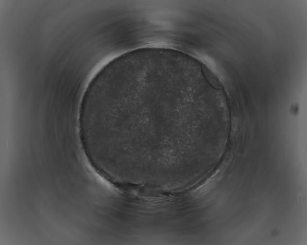 X0000092221331200710051150