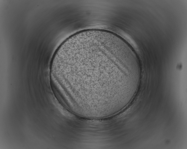 X0000092221332200710051150