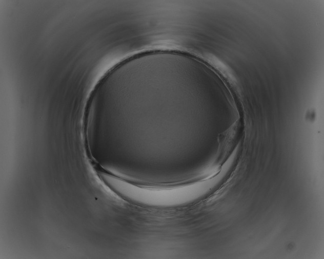 X0000092221334200710051150