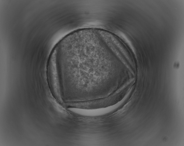 X0000092221336200710051150