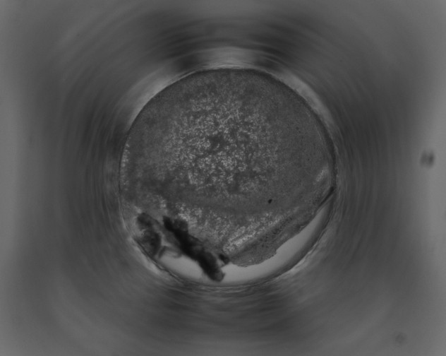 X0000092221337200710051150